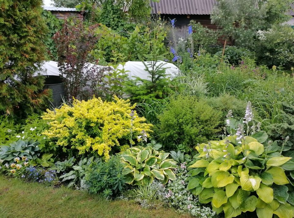 ��� ������������ ��������� ������: ������� � ������ ��� ��������