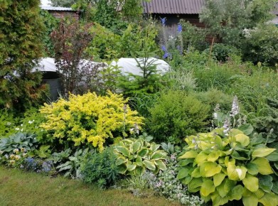 ��� ������������ ��������� ������: ������� � ������ ��� ��������