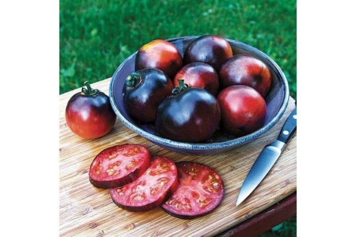 ����� ��������� ������ �����: �������� ������ �������