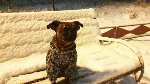 ����� ��������! �� ���������� ���� ��������� ���ѻ � ������������ � 13 �� 15 ������� �������������� ���������� �������������� ����������� ������� �� ������������� ����� �� 7� � ����� � ������� ������ (�����-11�)