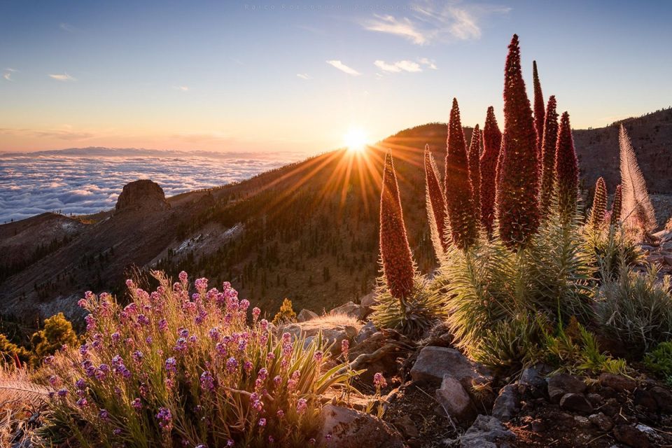 ���������: ���������� �������� � ��������� ��������� ����������