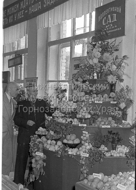 ������� �������: ��� ������������ ��� ����������� ���� �������� ������������