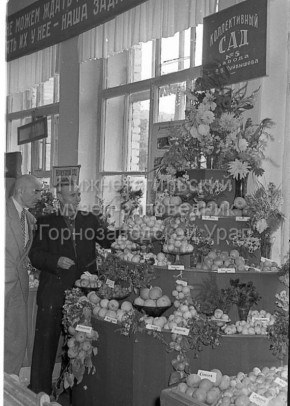 ������� �������: ��� ������������ ��� ����������� ���� �������� ������������