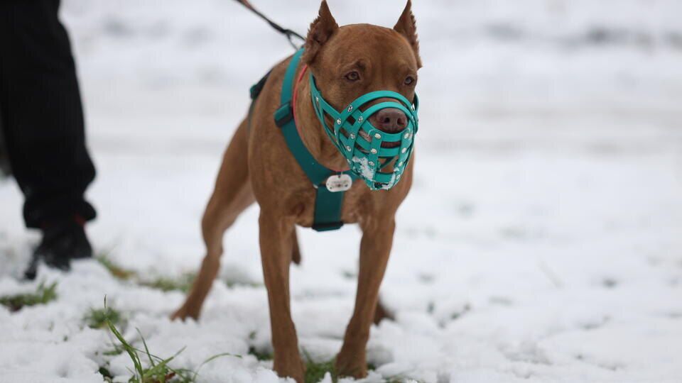 � ������� ���������� ��� ����� ��� �������� ���� � �������� ��������