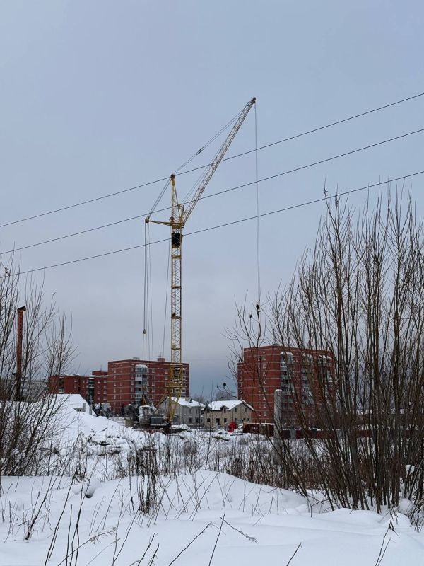 ����������� ������������������ ����� ���������� �� ������������� ���� ���������� ����������