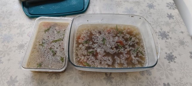 ������� ��������: ������� ��� ������ ��������� ����