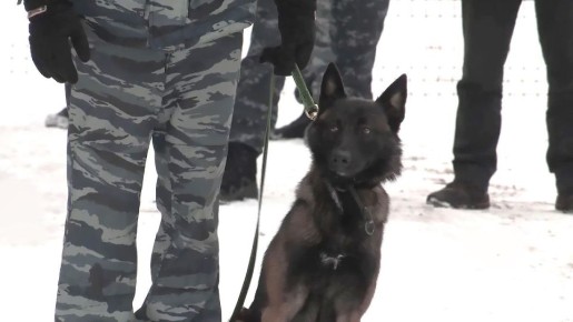 ϸ� ����� ���� ����: � ������������ ������� �� ��������� ������� ����� �������� �����