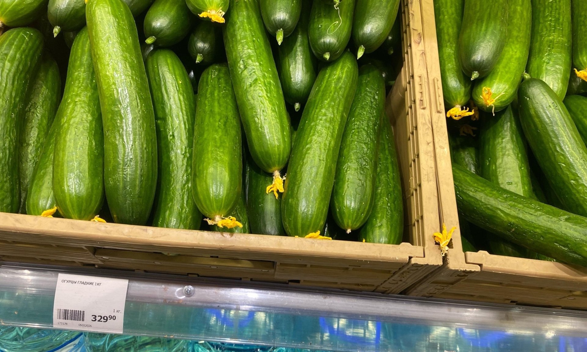 Публикуем субботний ТОП авторских материалов журналистов ИА "Регион 29" за минувшую неделю Публикуем субботний ТОП авторских материалов журналистов ИА "Регион 29" за минувшую неделю