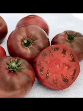 ����� ���� �������� ������: ��� �������� ���������� ���������� ������?