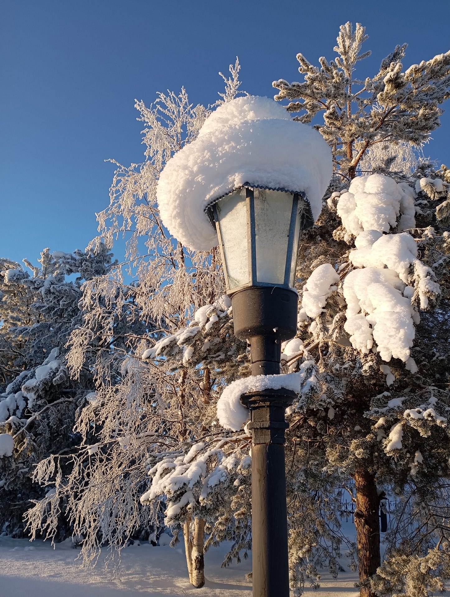 -32° в Ломоносово — даже фонари надели шапки! -32° в Ломоносово — даже фонари надели шапки!