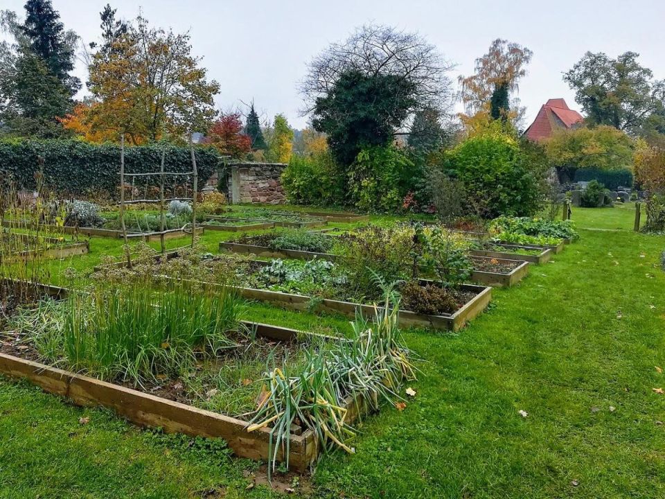 ������� ��������� �����������: ��� ������ ����� ���� ��� �������� ������