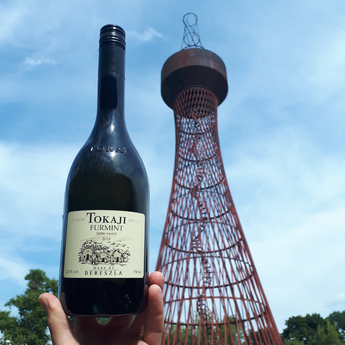 Фурминт: Интересная история и великолепные вина