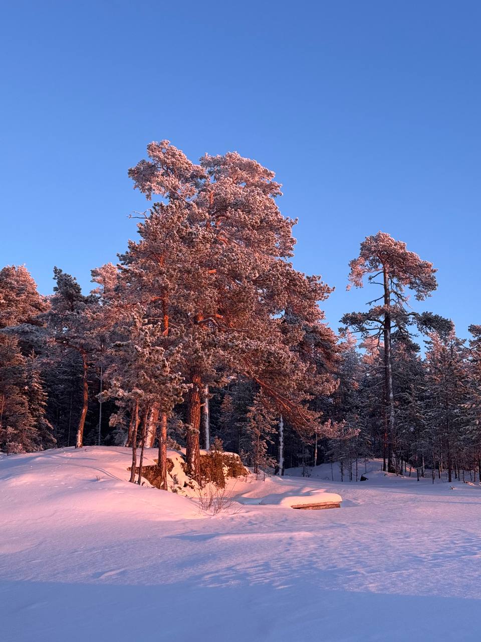 Кий-остров зимой. Небольшой остров-камень в Онежской губе Белого моря
