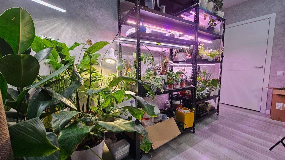 ����� ��������� ����� �� ����������: ��� �������� � ������������ ���� ������ �����������