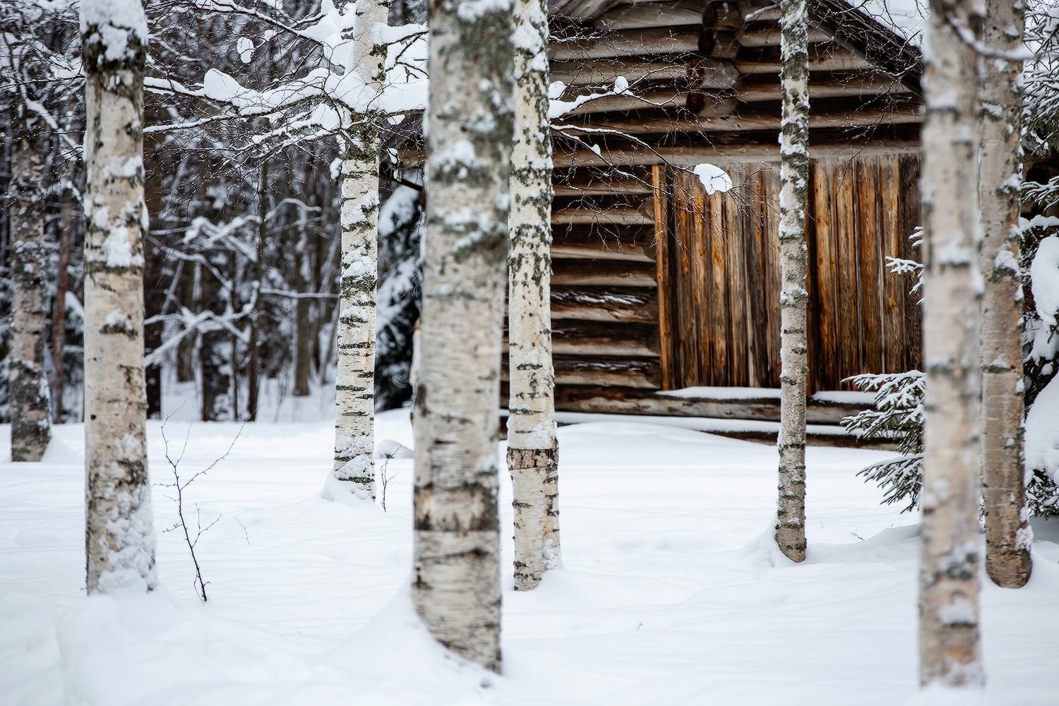 Тишина и покой деревенской зимы Тишина и покой деревенской зимы