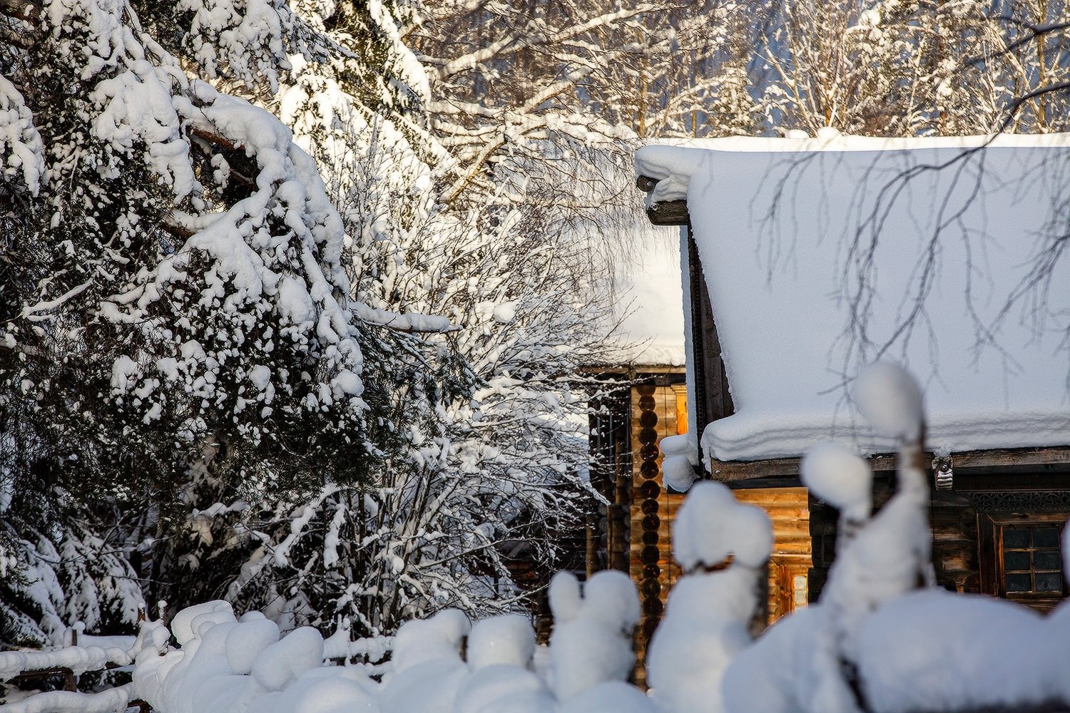 Тишина и покой деревенской зимы Тишина и покой деревенской зимы
