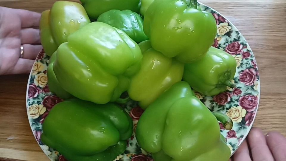 ��������� ������ �������: ������ ������ ������������� ������ �� ����