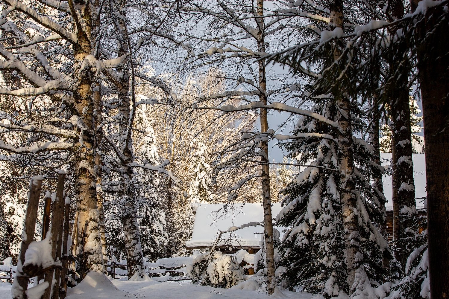 Тишина и покой деревенской зимы Тишина и покой деревенской зимы