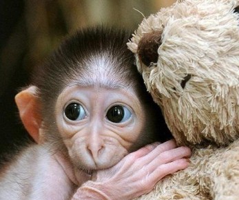 ����� �������: 6 ������� �����, ������� ������������� ���������� ������� �����