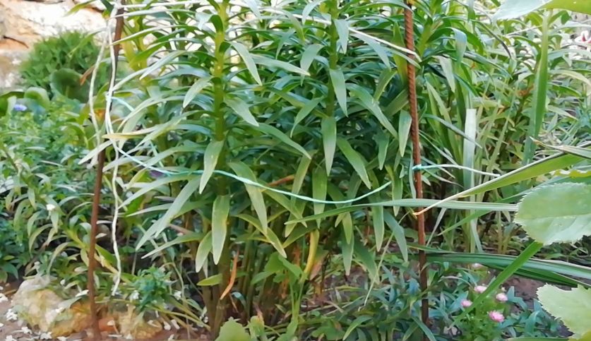 ��� ������� ����� ������� ��������� ������� ����� � ������� �����