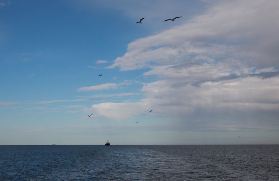 ������������, ��������: � ������� ������� ������