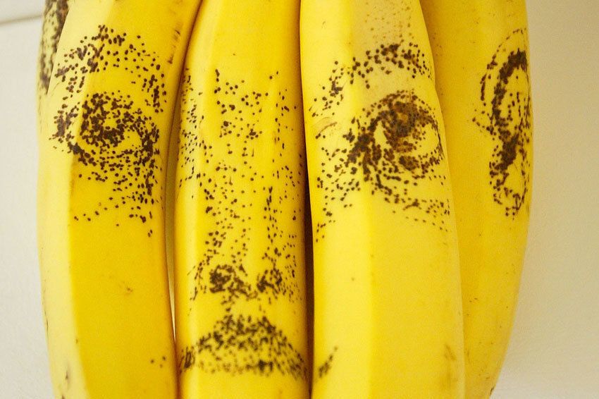 ������������ ��� �����������: ��� ����� ����� �������� ���� ��������� ���������