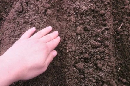 5 ������� ������ �������, ������� ����� �������� ������ (� ��� ������ ������� �� 48 �����)