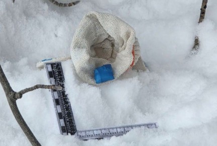 В ходе проведения оперативно-розыскных мероприятий сотрудниками отдела по контролю за оборотом наркотиков и Госавтоинспекции ОМВД России по г. Северодвинску около дома на улице Октябрьской был остановлен автомобиль «Лада»