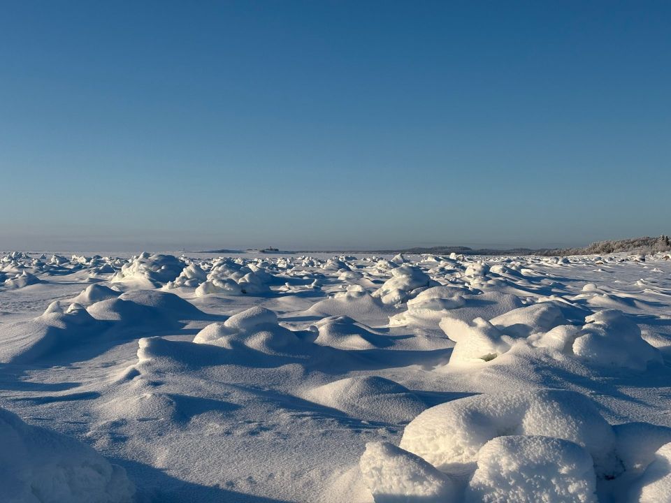 ������������ �������� �������� ����������� ����� ���������