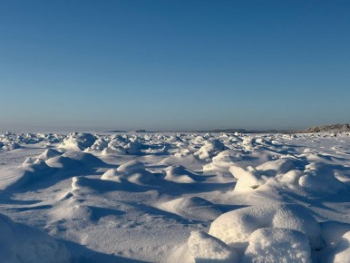 Заледеневшие просторы Соловков запечатлела Мария Максимова