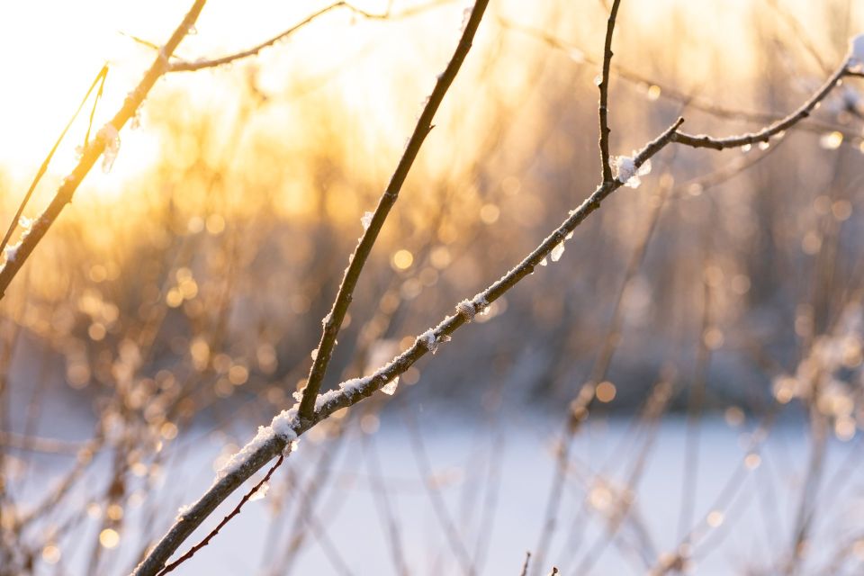 ������ ����, ������!. ������� ������� � ������������