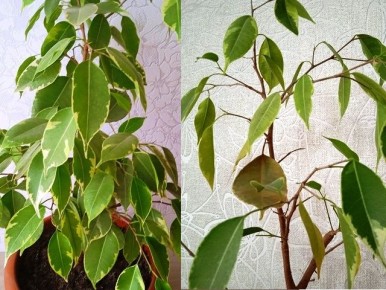 ����� ����������: ������������ ������ � ��� ��������� �����