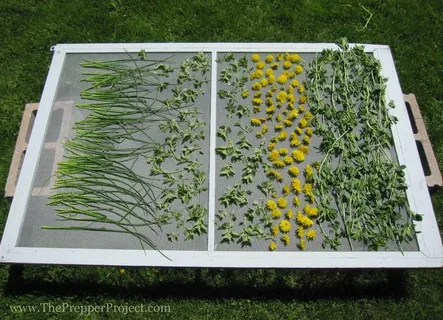 Умная альтернатива для сушки трав: как сделать это эффективно