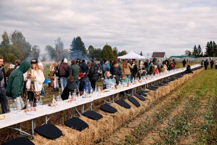 Когда ферма встречает гастрономию: как обед на природе стал настоящим праздником