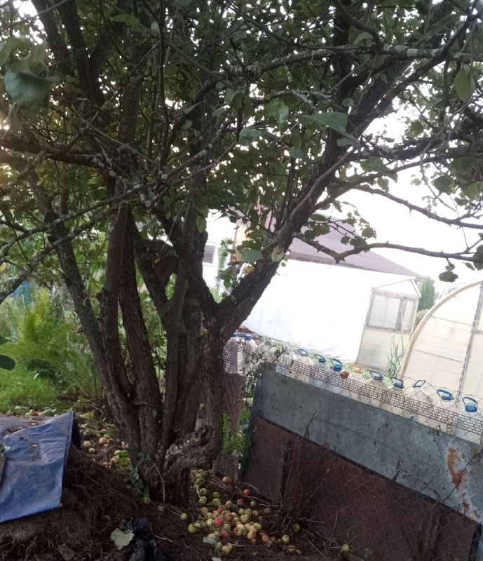 ��� ��������� �������� �������� ������� ��� �������� � �����������