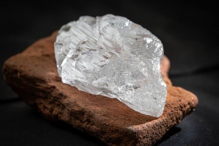 ����� ����� 228������ ������ ��������������� �������������� �������: