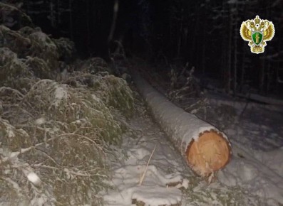 Прокуратура Устьянского района утвердила обвинительное заключение по уголовному делу о причинении смерти по неосторожности