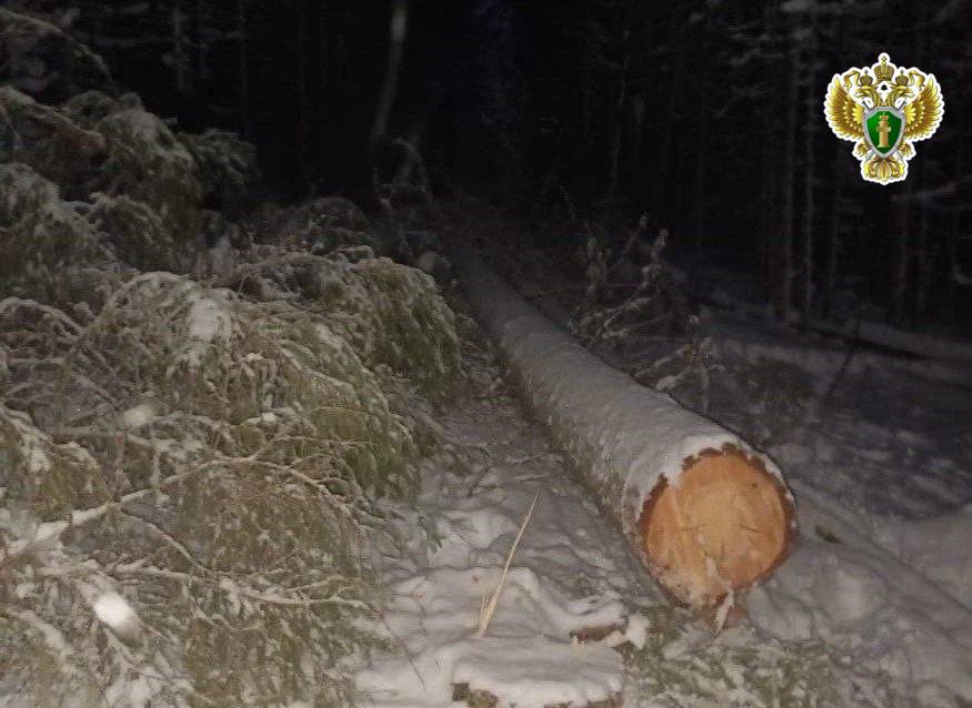 Прокуратура Устьянского района утвердила обвинительное заключение по уголовному делу о причинении смерти по неосторожности