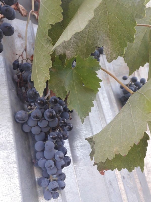 ��� ������ ��������, ������� �� ������: ������� �����