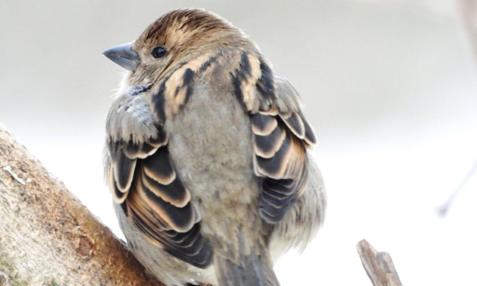 ����� 3,3 ������ �������� ��������� � ������������� �������