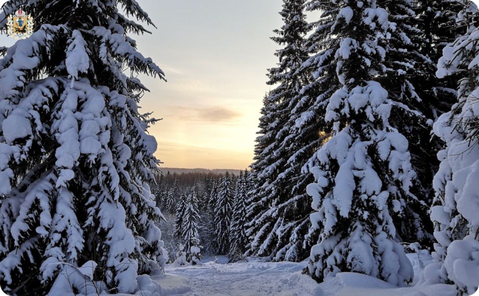 �� ����� ������ ��������� ���������� �������� ������� ������ ������� ������