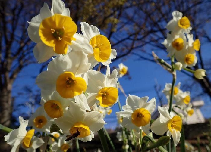 ��� ��������� ��������� �������� ���������: ������ ��� ���������