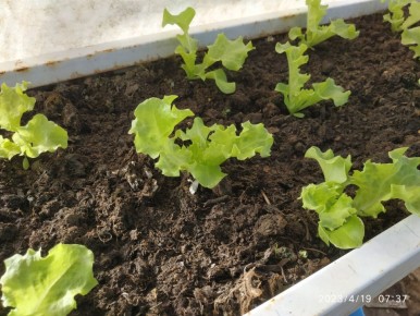 ��������� ����������� ��������� ������: �� ������� �� �����