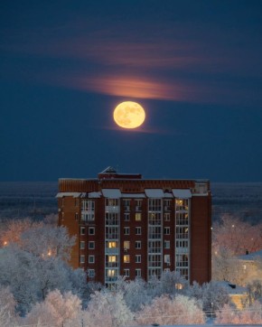 �������������� ������ ���� �� ������ ������ ���������� ����� �������