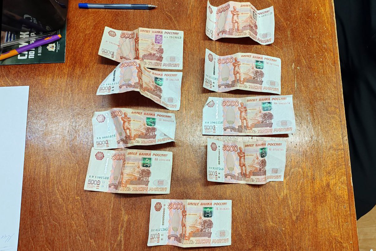 В Северодвинске сотрудники патрульно-постовой службы полиции по горячим следам задержали подозреваемого в краже