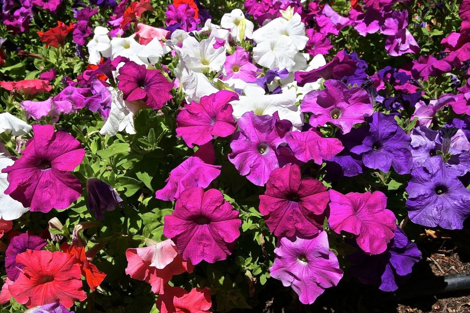 ����� ������� ����� ��������� � ����