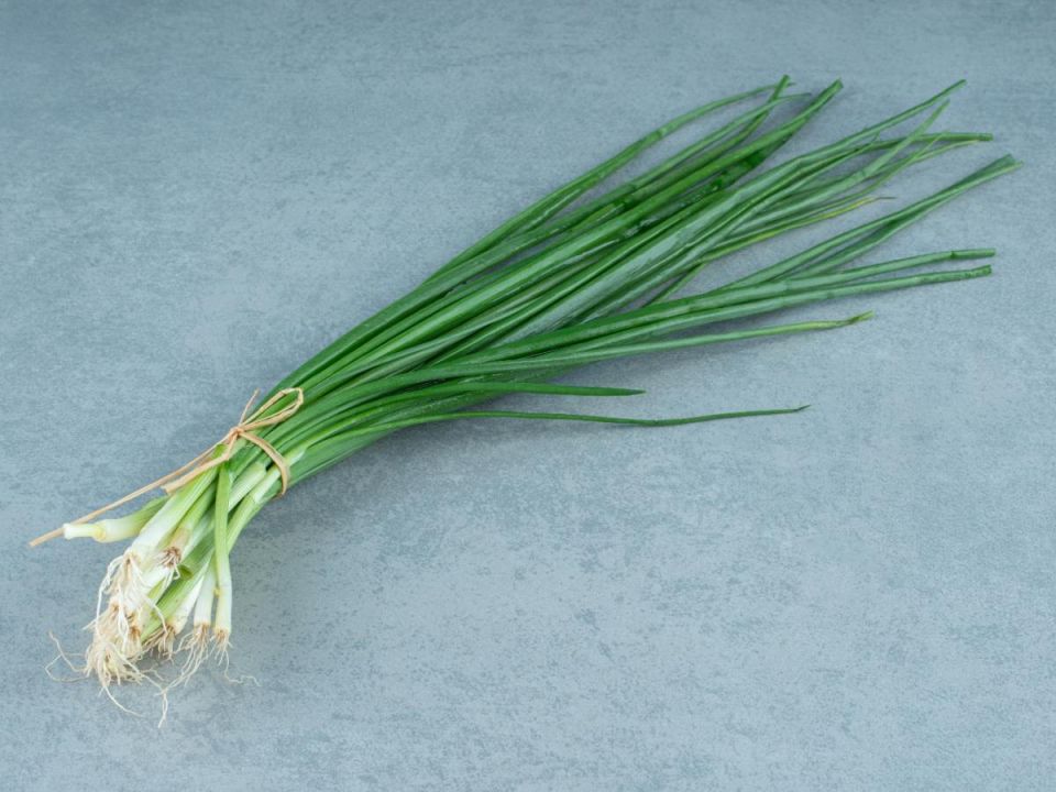 ���� ��� ����: ���� ��� ���� � ����?