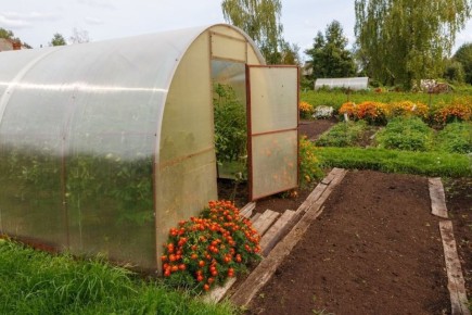 ������������ ����������: ����� �� ���������� �� ����������� ����������� � �������?