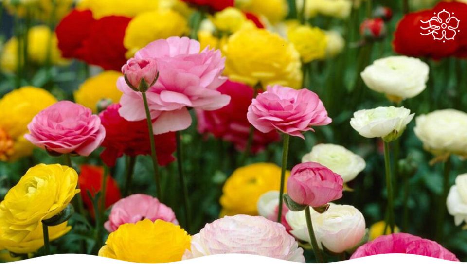 ����� � ������ ������ ����������� ��� ������ � �������