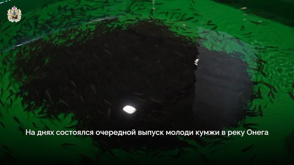 �� �������� ���������� ������ ��������� � ���� ��������� ������ ������� �����